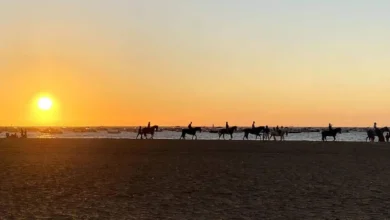 Caballos en la playa de Sanlúcar durante la puesta de sol.