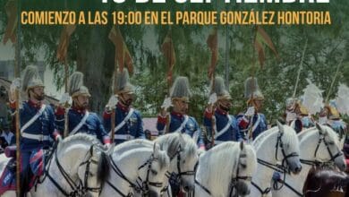 Caballos en la Parada Hípica del Día Europeo del Caballo en Jerez.