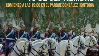 Caballos en la Parada Hípica del Día Europeo del Caballo en Jerez.