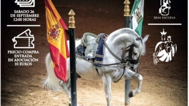 Detalle macro de estribos de cuero y bota de montar en la Real Escuela de Jerez