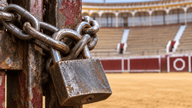 Candado en la entrada de la plaza portátil en Guadalcacín.