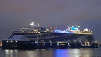 Crucero Celebrity Apex en el puerto de Cádiz de noche.