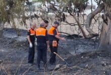 Bomberos y técnicos en la zona afectada por el incendio en Caulina, Jerez.