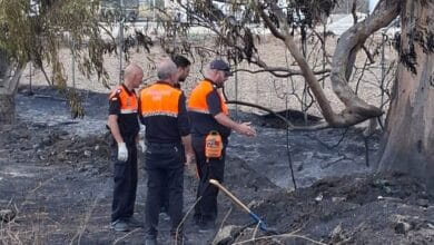 Bomberos y técnicos en la zona afectada por el incendio en Caulina, Jerez.
