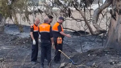 Bomberos y técnicos en la zona afectada por el incendio en Caulina, Jerez.