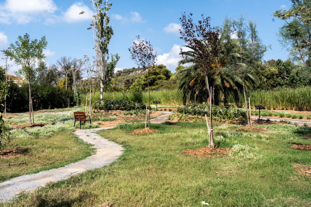 Imagen mostrando el Jardin de las Estrellas en Málaga