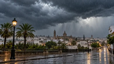 Imagen editorial de una tormenta de lluvia sobre Jerez de la Frontera, con cielo oscuro y calles mojadas.