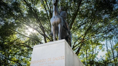Estatua ecuestre de Bernardo de Gálvez en Washington entre árboles y luz solar