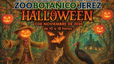 Cartel ilustrado de Halloween del Zoobotánico de Jerez para el 1 de noviembre de 2026, con un bosque otoñal, calabazas iluminadas, un espantapájaros y animales.
