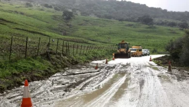 Fotografía facilitada para la noticia sobre la reparación de caminos en Cádiz y Sevilla. Su contenido visual no ha podido verificarse.