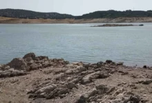 Vista de un embalse con agua en primer plano, orilla rocosa y laderas con vegetación al fondo.