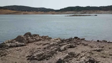 Vista de un embalse con agua en primer plano, orilla rocosa y laderas con vegetación al fondo.