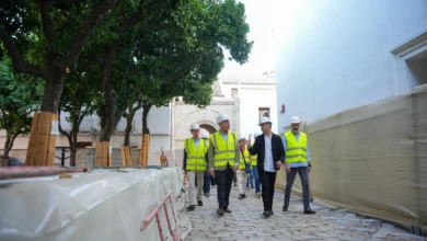 Personas con cascos y chalecos reflectantes caminan por una zona de obras con pavimento de piedra, árboles protegidos y muros blancos.