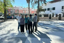 Varias personas conversan sobre el pavimento de una plaza arbolada, con bancos, una palmera y edificios al fondo.