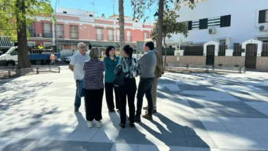 Varias personas conversan sobre el pavimento de una plaza arbolada, con bancos, una palmera y edificios al fondo.