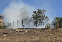 Humo blanco sobre una zona de pastos secos junto a una valla metálica y varios árboles, con una persona al fondo a la derecha.