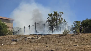 Humo blanco sobre una zona de pastos secos junto a una valla metálica y varios árboles, con una persona al fondo a la derecha.