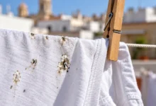 Primer plano de ropa blanca tendida con pequeñas manchas de excrementos de paloma y una pinza de madera.