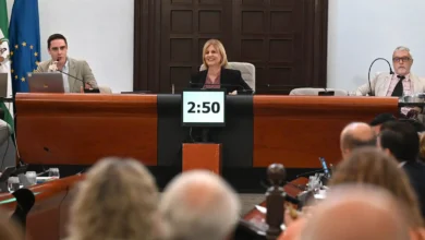 Sesión plenaria municipal de Jerez con varias personas en la mesa presidencial y público en primer plano