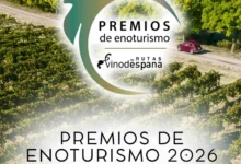 Paisaje de viñedos con un camino rural entre las cepas, relacionado con el enoturismo del Marco de Jerez.