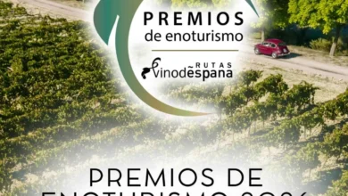 Paisaje de viñedos con un camino rural entre las cepas, relacionado con el enoturismo del Marco de Jerez.