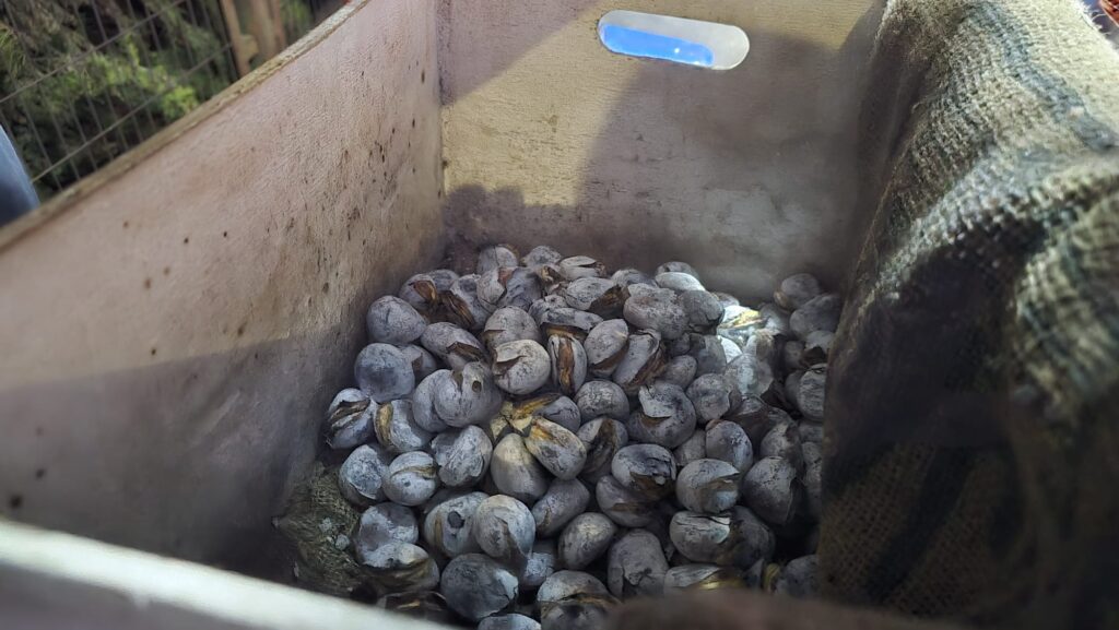 Detalle de un puesto de castañas con un recipiente metálico lleno de castañas asadas y elementos del puesto alrededor.