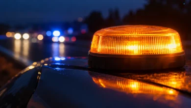 Primer plano del neumático de un automóvil detenido sobre asfalto, con el arcén de una carretera desenfocado al fondo.
