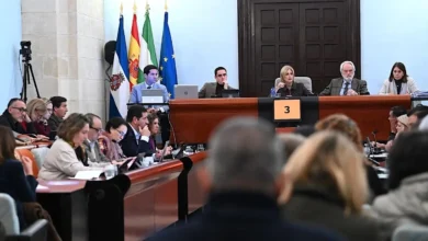 Salón de plenos municipal de Jerez durante una sesión con representantes y asistentes