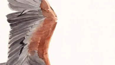 Cartel de la exposición Aves, Marismas y Humedales del Día Mundial de las Aves 2026 en el Zoobotánico de Jerez